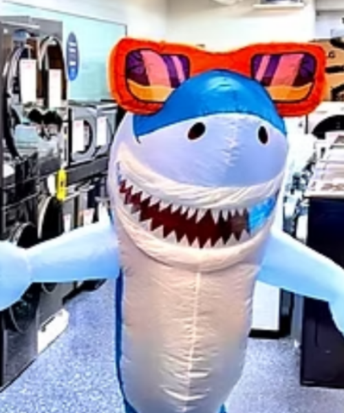 Dinero, an Appliance Shark mascot in the showroom